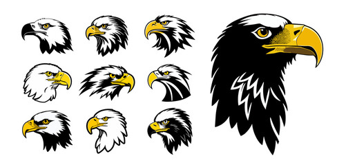 Eagle head collection, different eagles icon set. Black and yellow color sheme. Vector illustration.