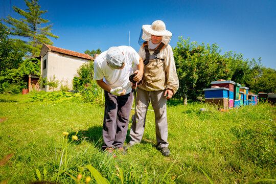 Servicer With Wrapped Injured Hand Fixes Trimmer For His Friend Apiarist To Mowing The Grass