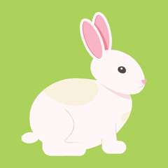 Rabbit on green bg