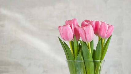 pink tulips in a vase on a gray background