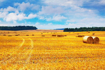 Fototapeta premium Beautiful landscape with hay straw bales after harvest in summer. Haystacks on field