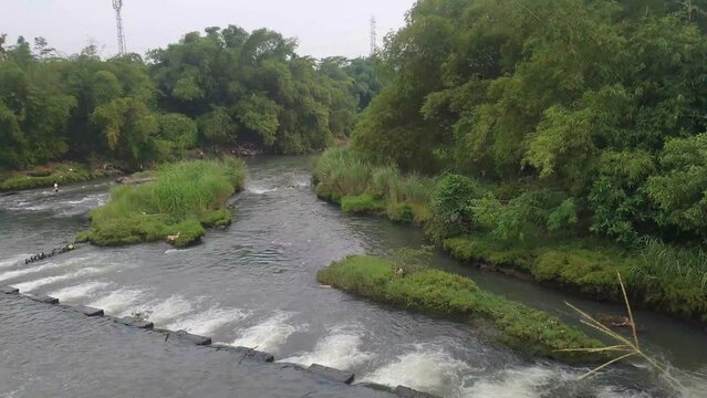 River river waterfall in forest landscape