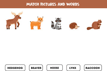 Matching game. Match cute woodland animals and words.