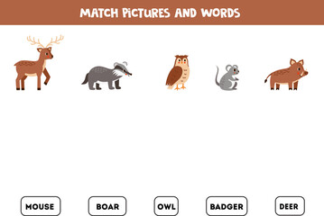 Matching game. Match cute woodland animals and words.