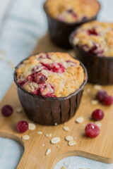 Seasonal Cranberry and oat muffins perfect for picnics and breakfast close up selective focus