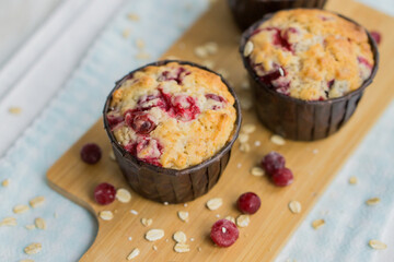 Seasonal Cranberry and oat muffins perfect for picnics and breakfast close up selective focus