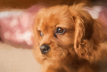 Digital painting of a single ruby Cavalier King Charles Spaniel puppy.