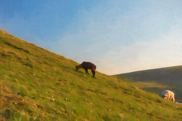 Fototapeta na wymiar Digital painting of sheep grazing on Parkhouse Hill, and Chrome Hill at sunrise, in the Peak District National Park