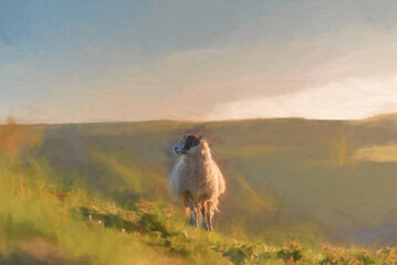 Fototapeta premium Digital painting of sheep grazing on Parkhouse Hill, and Chrome Hill at sunrise, in the Peak District National Park