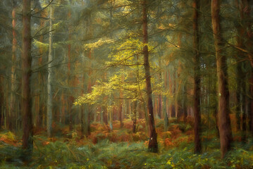 Digital painting of golden autumnal fall tree and leaf colours at Birches Valley, Cannock Chase in Staffordshire.