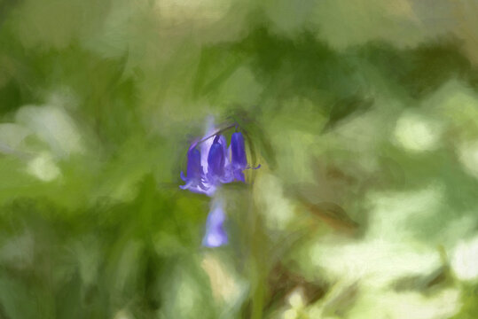 Digital painting of brightly colored sunlit purple bluebell flowers against a natural background.