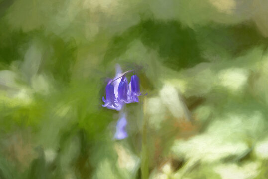 Digital painting of brightly colored sunlit purple bluebell flowers against a natural background.