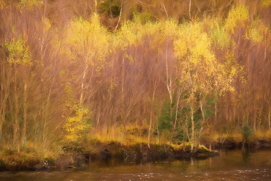 Digital painting of Tarn Hows in the English Lake District with views of Yewdale Crag, and Holme Fell during autumn.