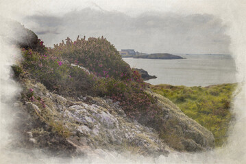 Digital watercolor painting of white rocks covered in lichen and purple Bell Heather.
