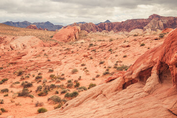 Fototapeta na wymiar Along the breathtaking panoramic road through the Valley of Fire State Park near Las Vegas in Nevada, USA. Surrounded by rocks and beautiful scenery.
