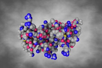 Human beta-defensin-2. Space-filling molecular model on gray background. Scientific background. 3d illustration