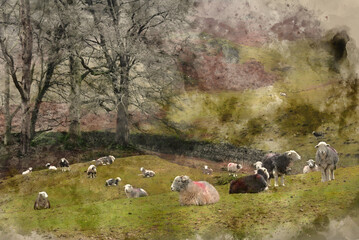 Obraz premium Digital watercolour painting of Beautiful peaceful landscape image of sheep in farm alongside Loughrigg Tarn in Lake District on a Winter morning