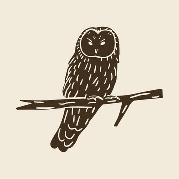 Image of a owl on a branch. Vector black and white linocut bird print.