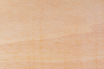 Light rough textured cut surface of an African tree. Wood background or blank for design