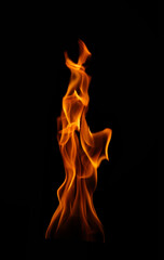 Fototapeta premium Burning flame isolated on dark background