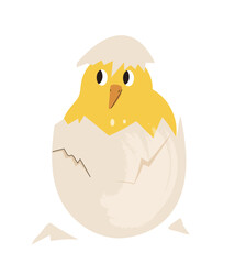 Chicken hatching from egg. Chick in shell. Biology and zoology. Cute domestic animal. Farming and agriculture, cattle. Poster or banner for website. Cartoon flat vector illustration