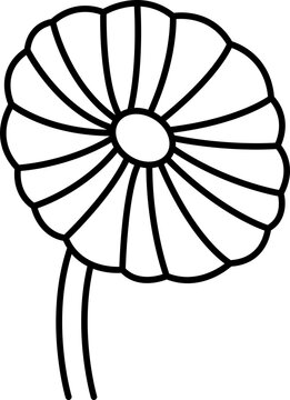 acetabularia  icon