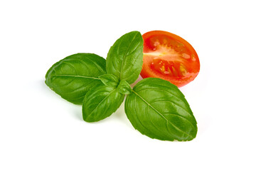 Green Basil Leaves Fresh Spice, closeup, isolated on a white background.