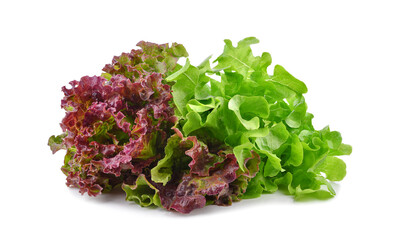 Fresh red green lettuce isolated on transparent background. PNG - obrazy, fototapety, plakaty