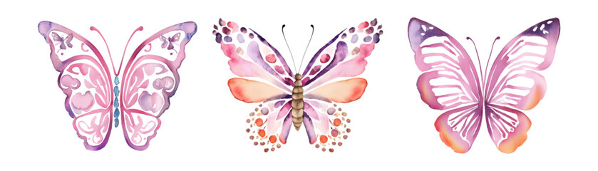 Three watercolor butterflies, vector illustration isolated on white background