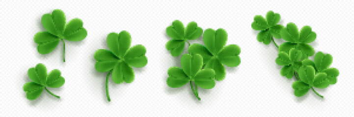 Realistic set of clover leaves isolated on transparent background. Vector illustration of 3D green four and three leaf trifoils. Symbol of good luck, chance to success. Saint Patrick Day icons png