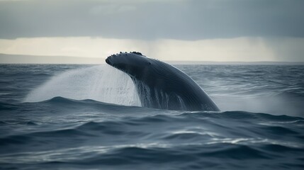 Fototapeta premium Whale in the ocean, AI generated 