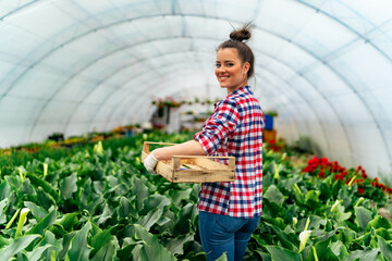 a beautiful bride in relaxed clothes is holding a crate, preparing to pick flowers for the florist