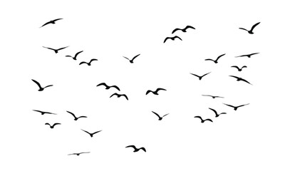 black bird flock simple art