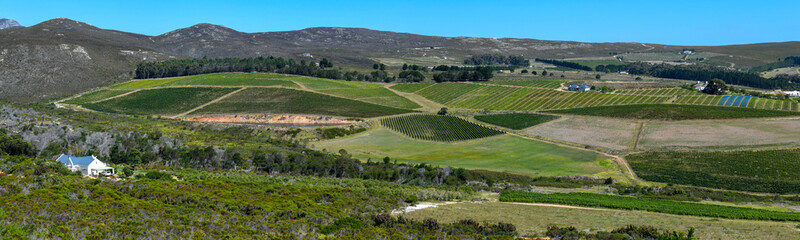 Fototapeta na wymiar View at a landscape near Hermanus in South Africa