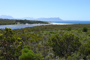 Fototapeta na wymiar View at a landscape near Hermanus in South Africa