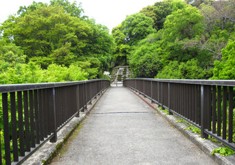 Fototapeta na wymiar 緑が多くある場所の橋