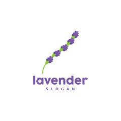 Lavender Logo, Simple Elegant Purple Flower Plant Vector, Greeting Card Design, Banner, Flower Ornament, Lavender Hand Drawn Wedding, Icon Symbol Illustration