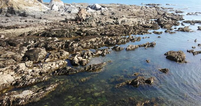 Aerial View Of Low Tide Rugged Shoreline Rocks At Thurlestone In South Devon. Descending Shot
