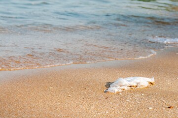 The plastic bag on the sea beach on the sea in Thailand.