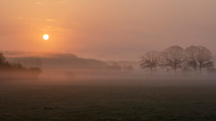 Fototapeta premium Dunstiger Sonnenaufgang im Nebel mit Bäumen als Silhouette