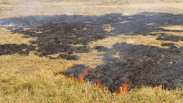 Close up of Wildfire burning on a grassland