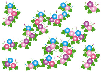 朝顔のイラスト素材
