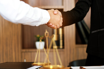 Female lawyer handshake with client. Business partnership meeting successful concept.