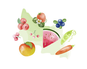 Watercolor set fruits vegetables summer