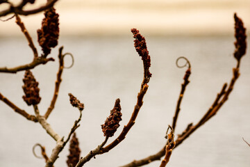 Unusually beautiful tree.