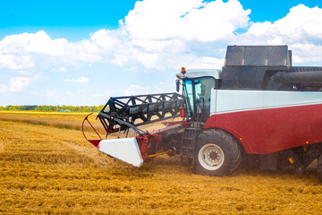 Fototapeta premium Harvester rides through the field and collects ripe wheat on a sunny autumn day. Food, valuable agricultural crops
