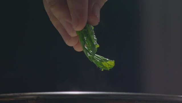 Sweet Basil, Thai Basil, Vegetable, mint leaf