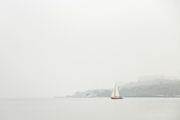 Fototapeta premium Landscape of a foggy sea with a sailboat on the horizon