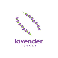 Lavender Logo, Simple Elegant Purple Flower Plant Vector, Greeting Card Design, Banner, Flower Ornament, Lavender Hand Drawn Wedding, Icon Symbol Illustration