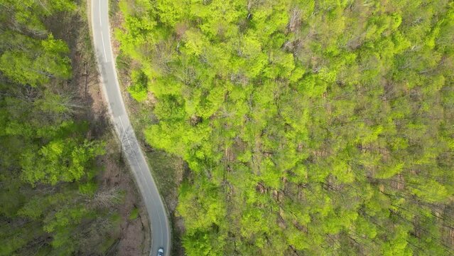 Curved road. Aerial drone footage, rural road in the forest. Arad, Romania.